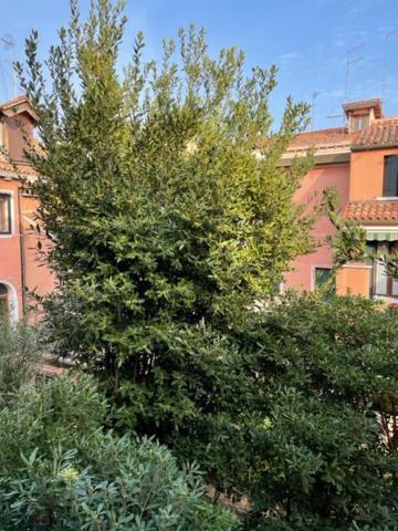 Apartmán Ca' Della Carita' Benátky Exteriér fotografie